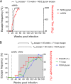 FIG 6