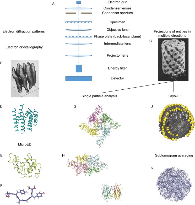 Figure 2