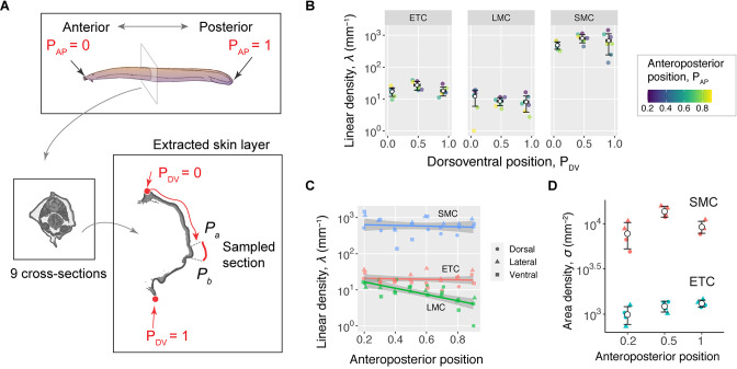 Figure 2—figure supplement 1.