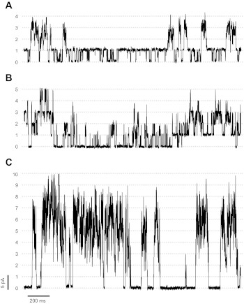 Fig. 3.