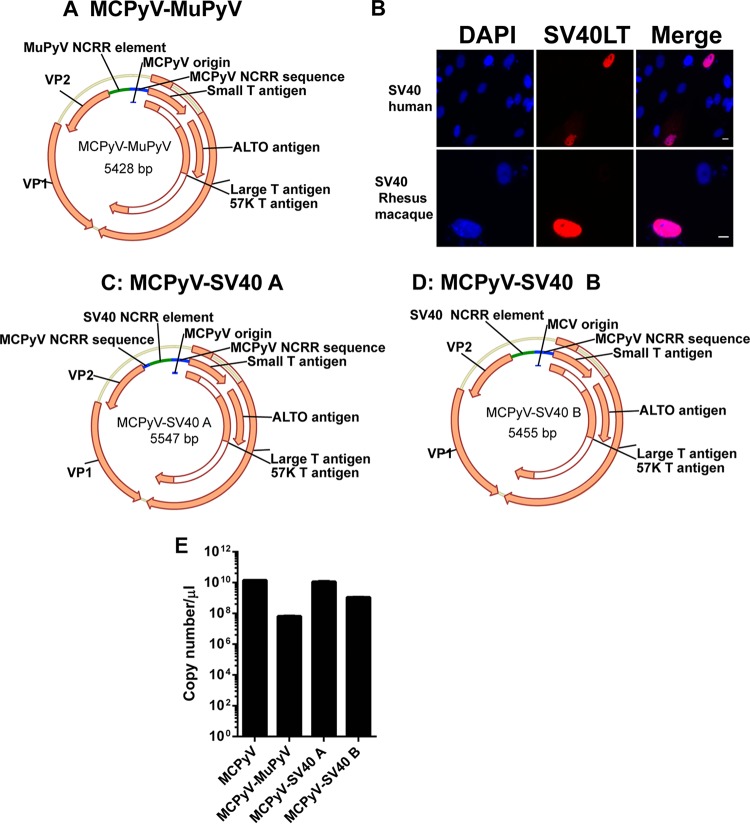 FIG 4