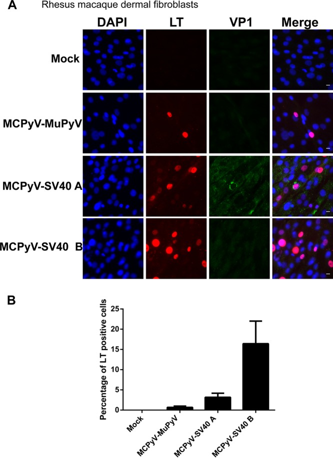 FIG 6