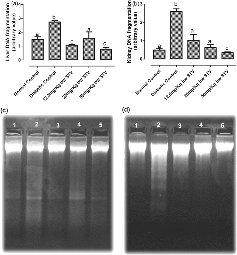 Fig. 7