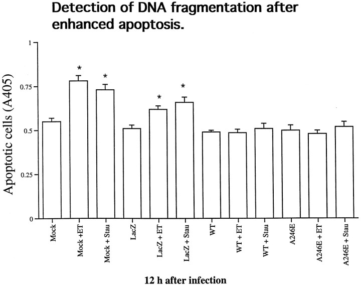 Fig. 12.