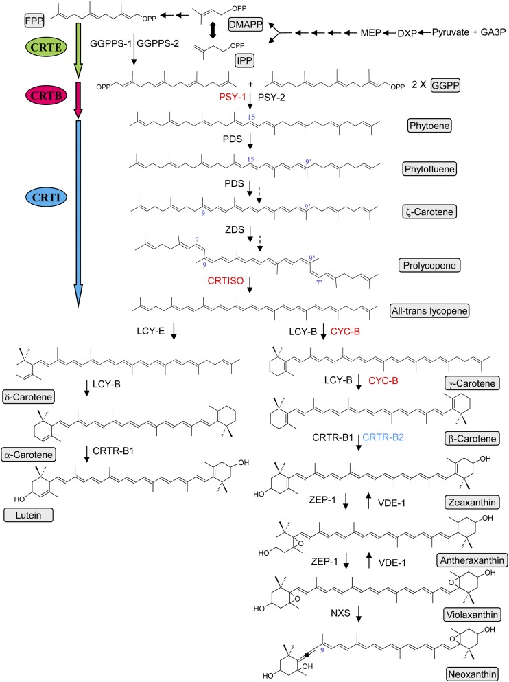 Figure 1.