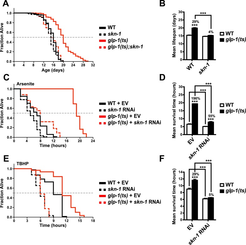 Lipid-mediated regulation of SKN-1/Nrf in response to germ cell absence ...