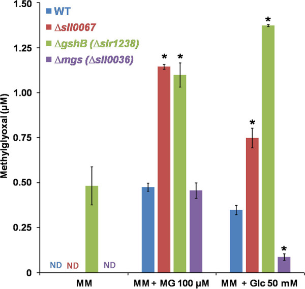 FIG 3