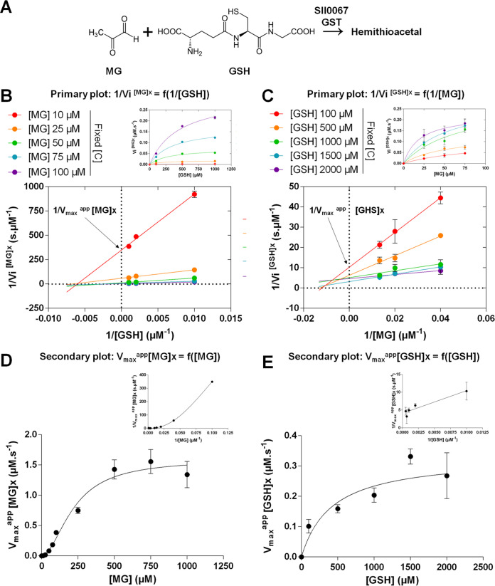 FIG 6