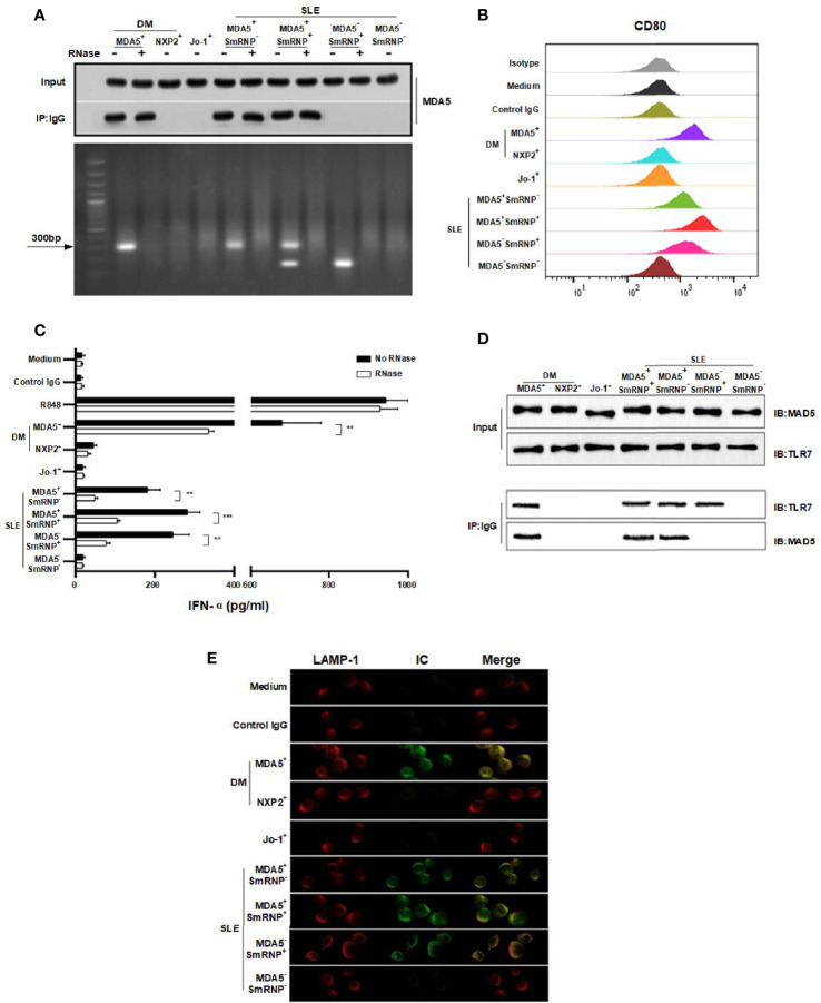 Figure 2