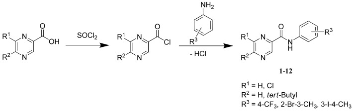 Scheme 1