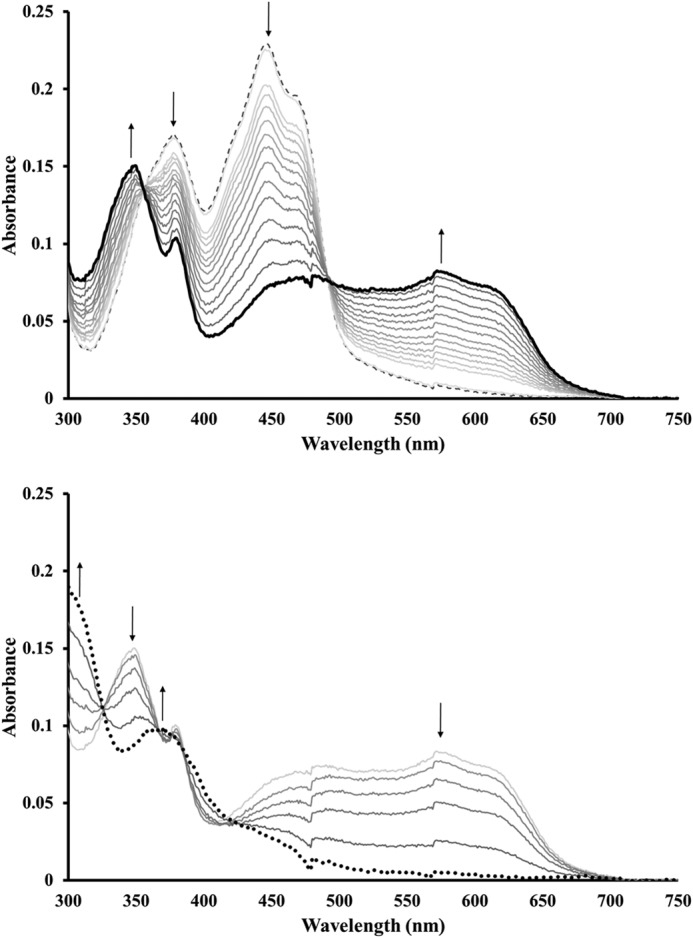 FIGURE 1.