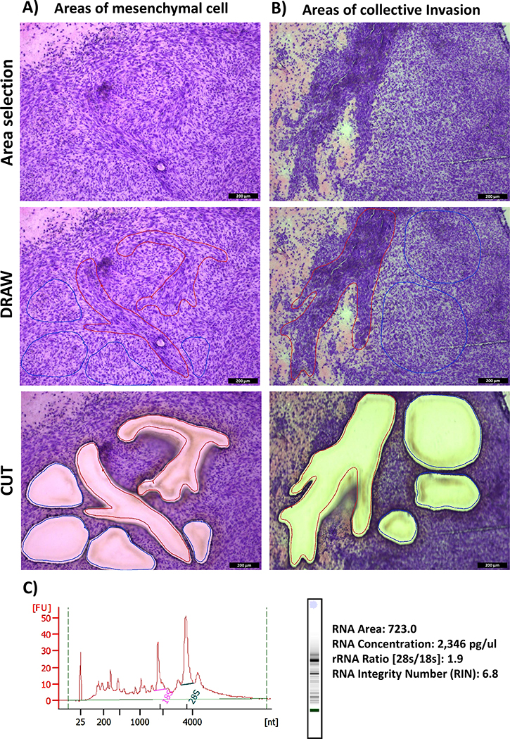 Figure 5: