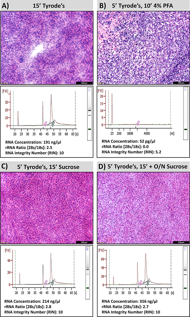 Figure 3: