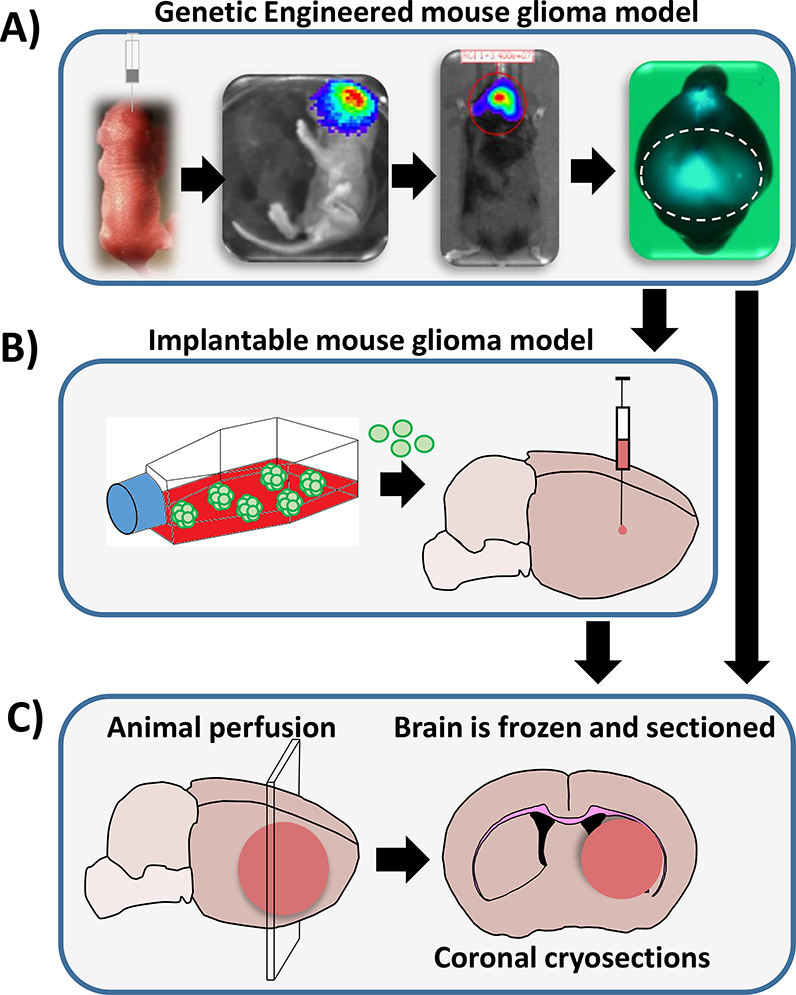 Figure 1: