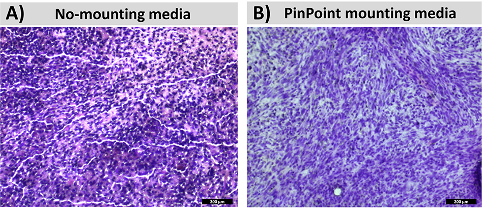 Figure 4: