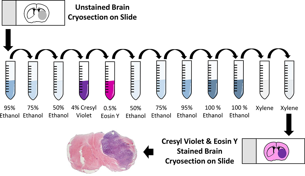 Figure 2: