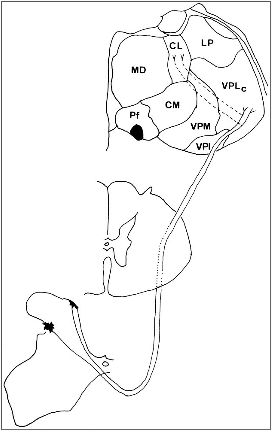 FIG. 6.