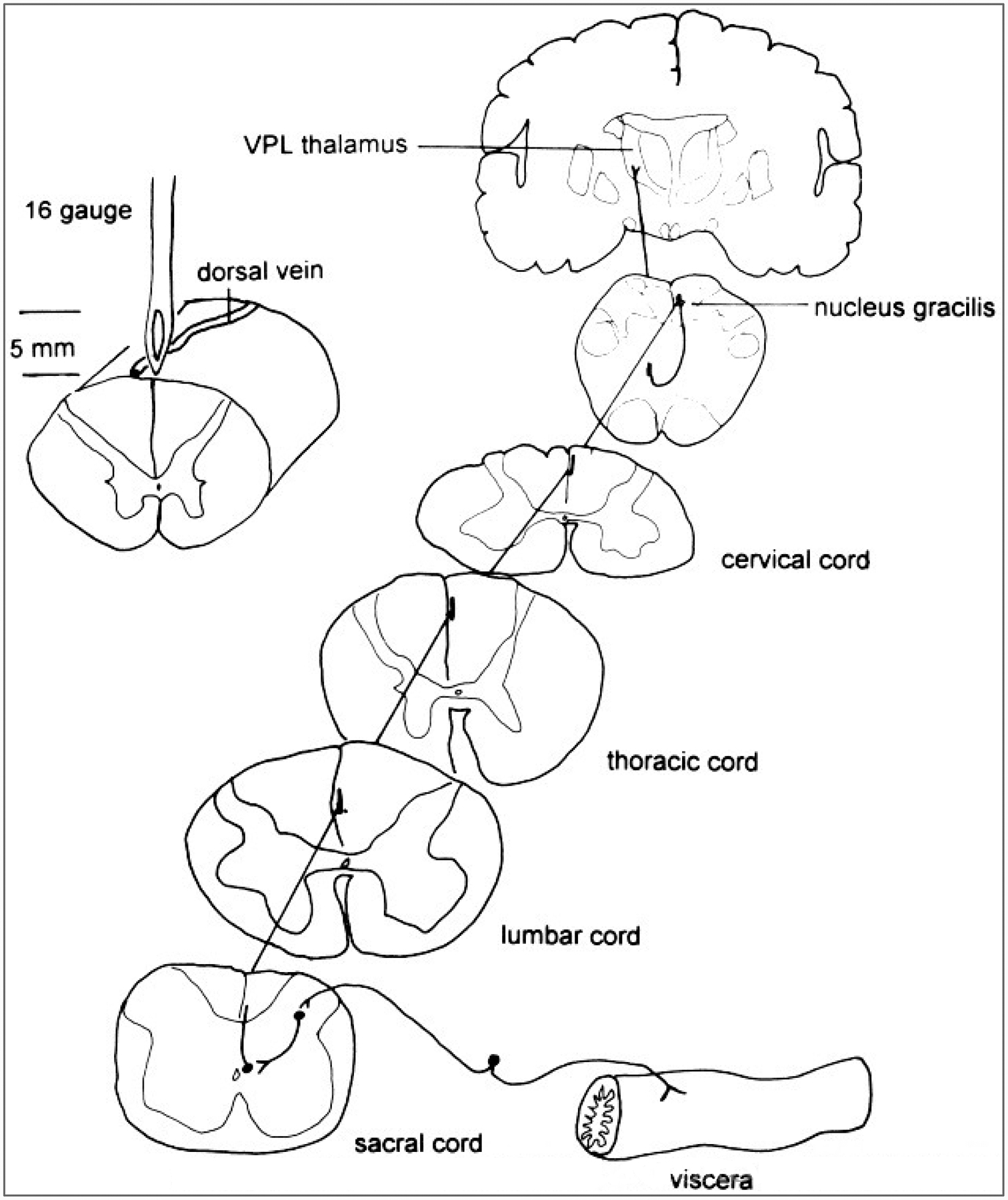 FIG. 13.