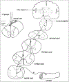 FIG. 13.