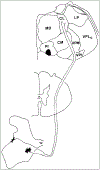 FIG. 7.