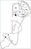 FIG. 6.