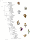 Fig. 3