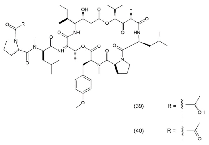 Figure 24