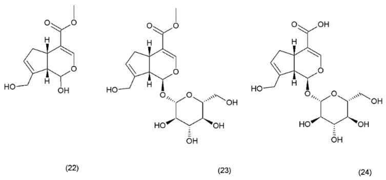 Figure 12