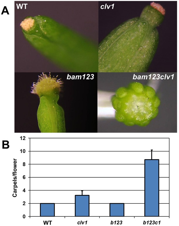 Fig. 4.