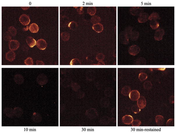 FIG. 4