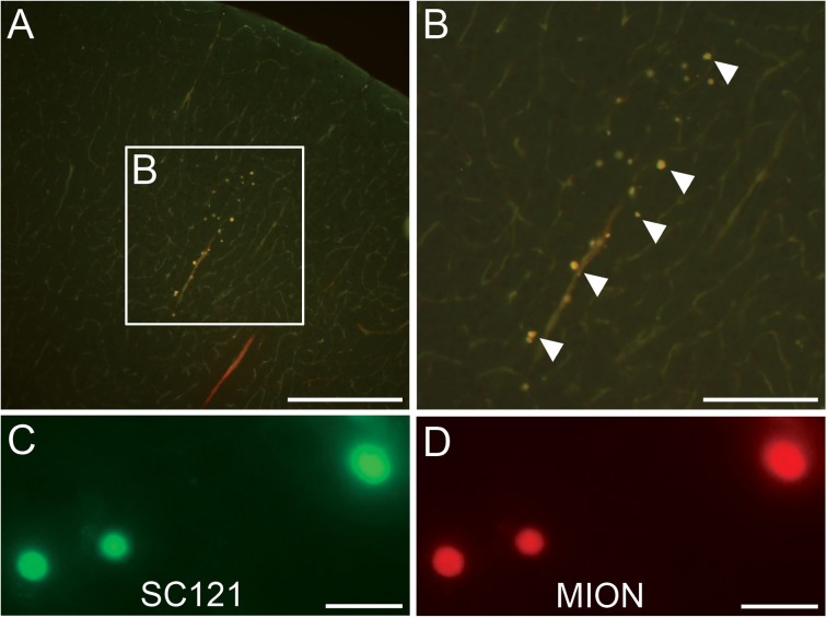 Figure 5.