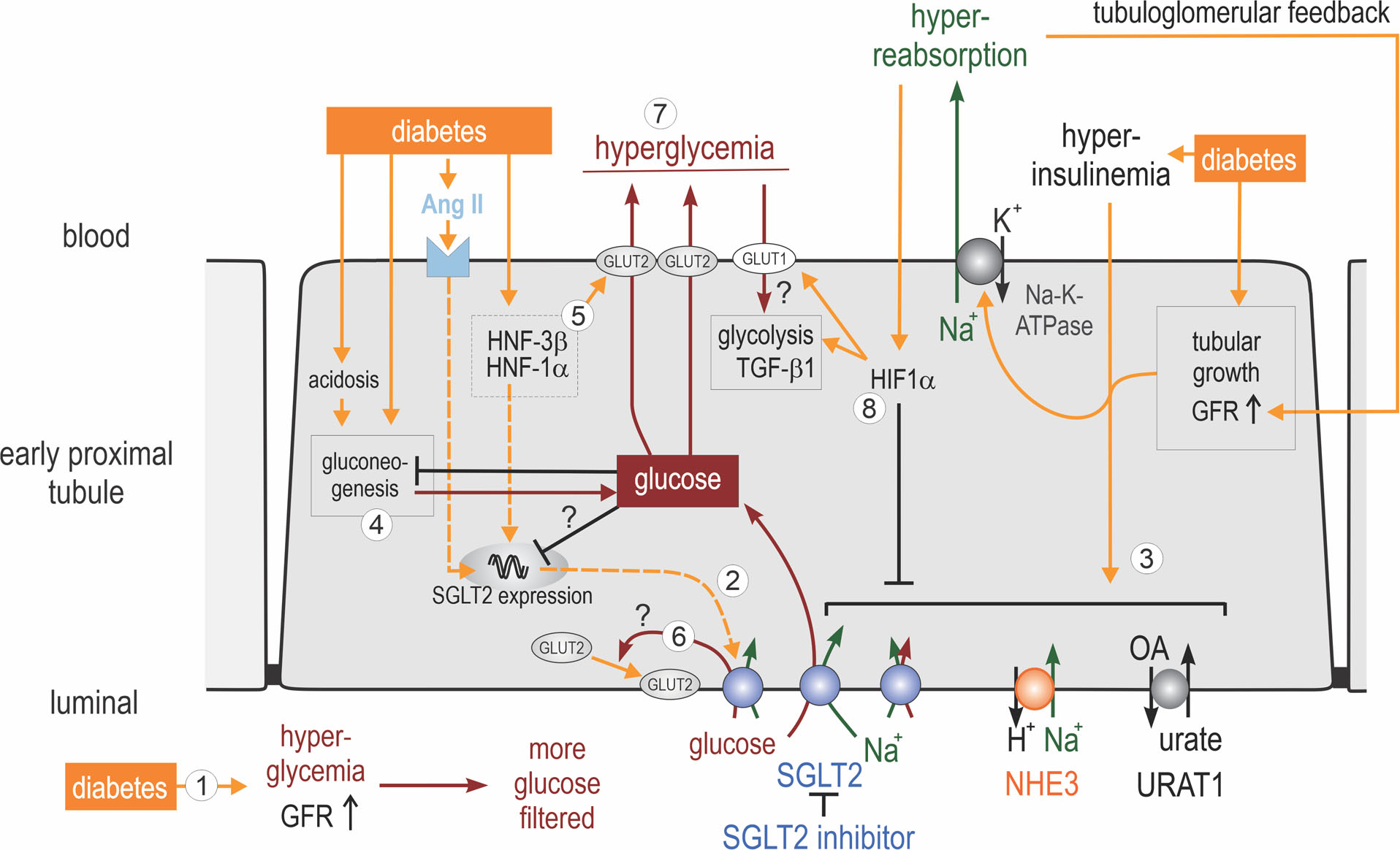 Fig. 4 |