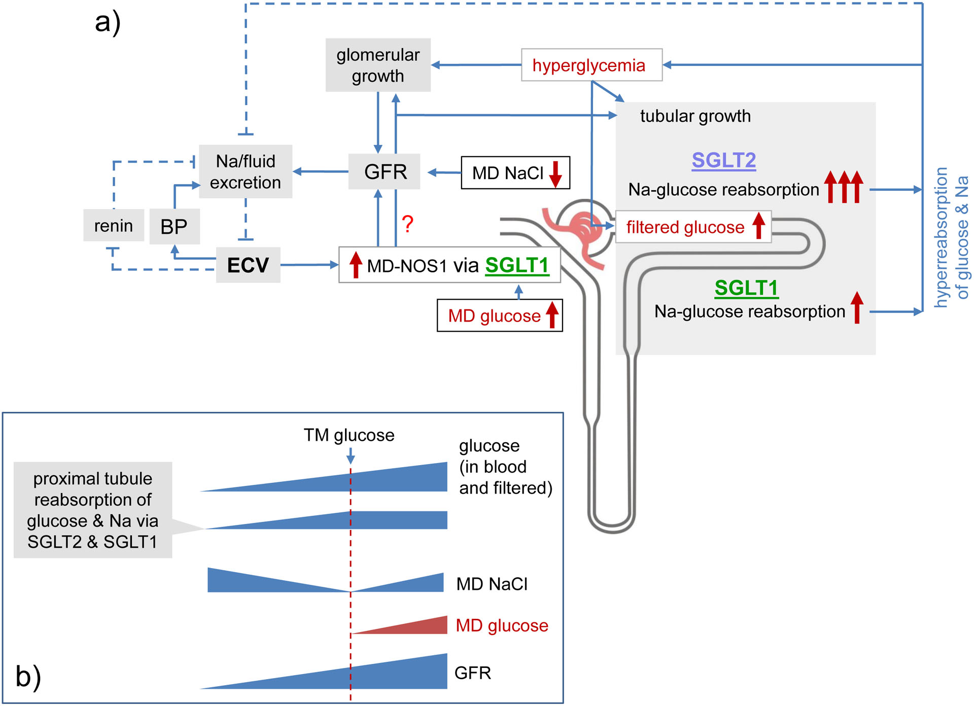 Fig. 6 |