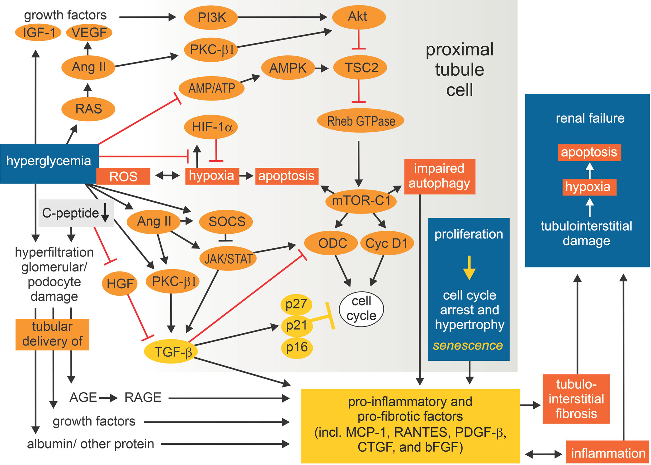 Fig. 7 |