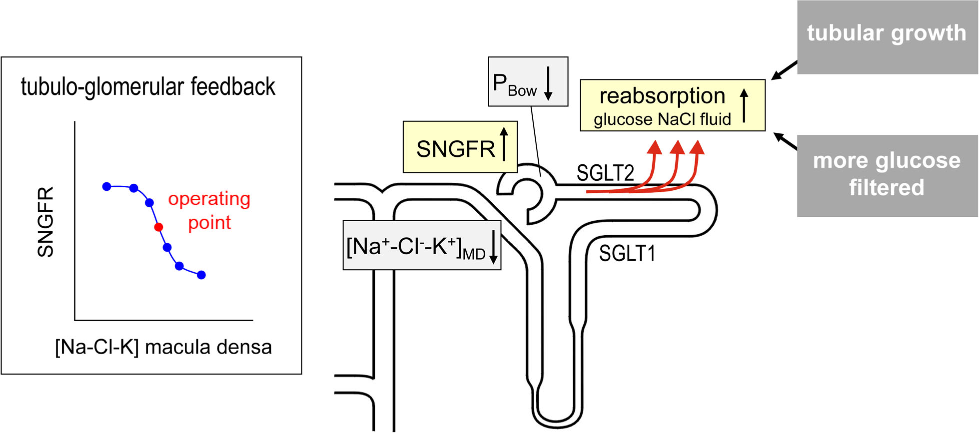 Fig. 2 |