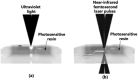 Fig. 1