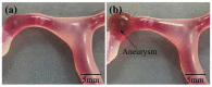 Fig. 6