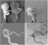 Fig. 7