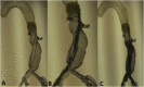 Fig. 13