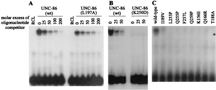 FIG. 5