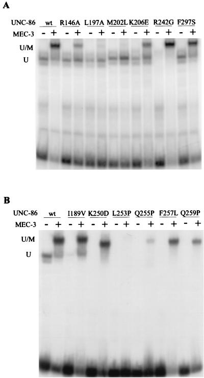 FIG. 6