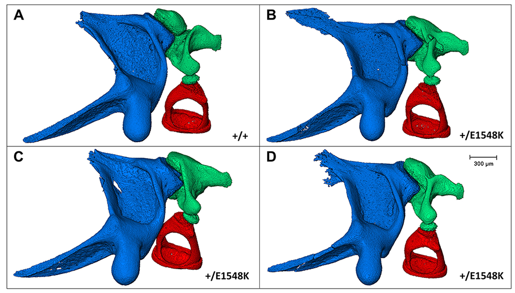 Figure 6.