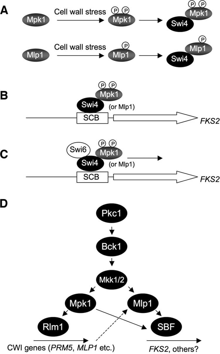 FIG. 6.