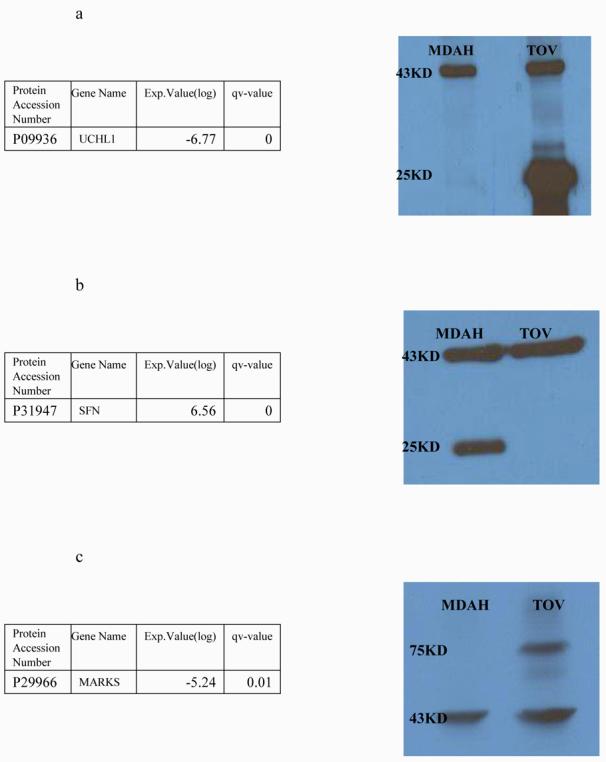 Figure12