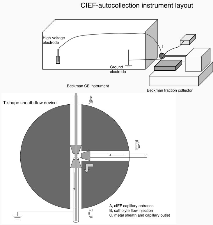 Figure2