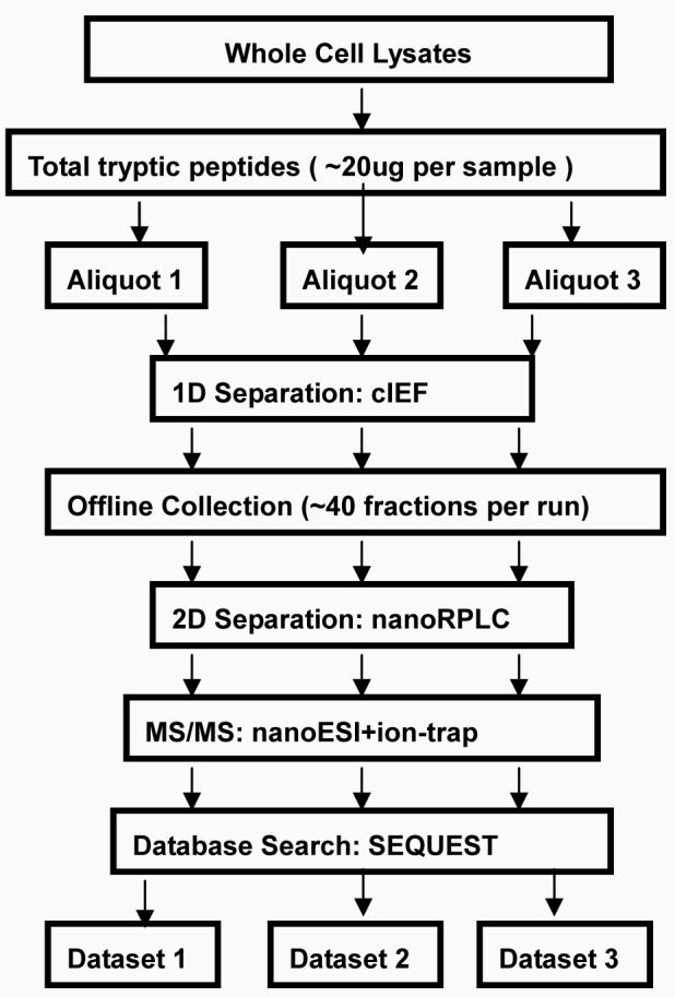 Figure1