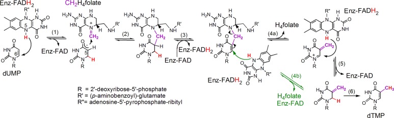 Scheme 3