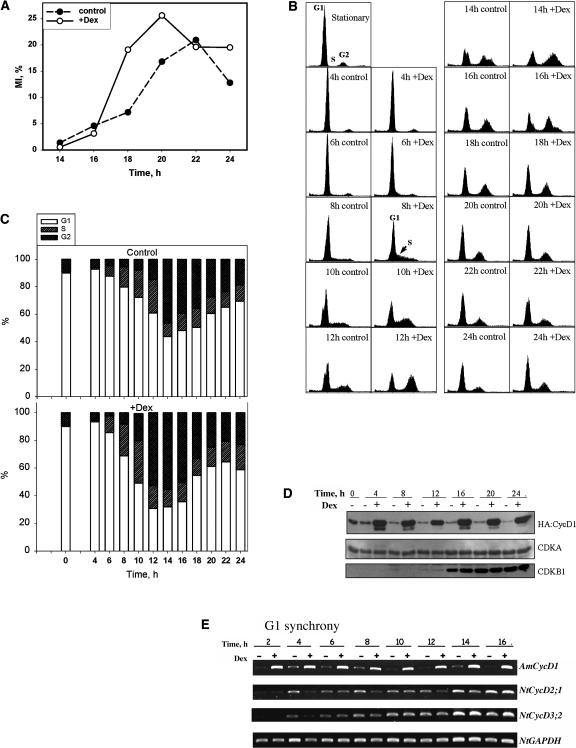 Figure 4.