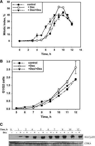 Figure 6.