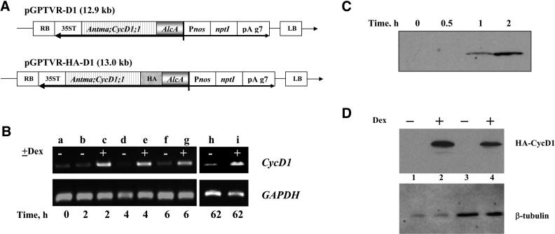 Figure 2.